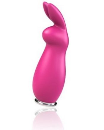 Crazzy Bunny